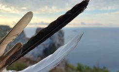 Kdo ime je otoku dal