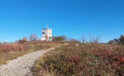 Goriški Camino etapa 2