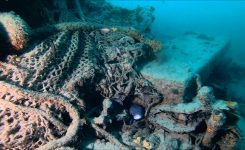 Trabakul Rizziero pri Umagu Trabakul Rizziero pri Umagu