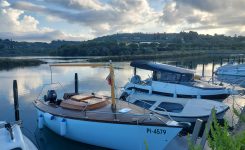 Rosaly, PI-4579       Rosaly, PI-4579