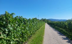 Od morja do górja 5