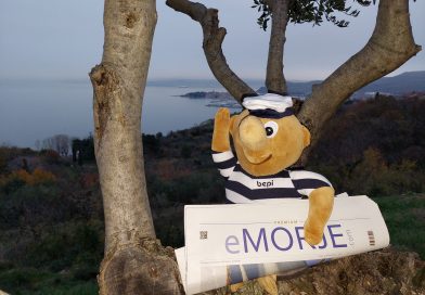 Leto 9, št. 100; 100 številk časopisa eMORJE