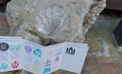 Camino Banovina z očmi pohodnika