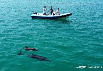 ARIS projekt vodi dr. Tilen Genov