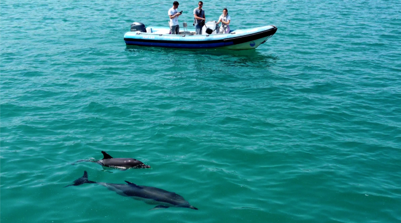 ARIS projekt vodi dr. Tilen Genov