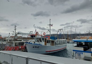 Murterske barke v slovenskem morju št. 8