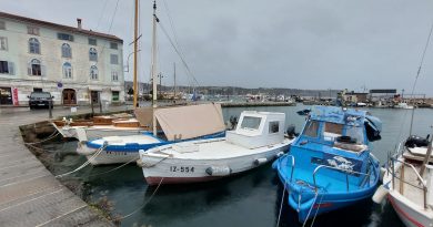 Pasara IZ–554 Pasara IZ–554