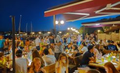 Leto 9, št. 104; Krk v primežu masovnega turizma Leto 9, št. 104; Krk v primežu masovnega turizma