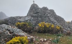 Camino San Salvador Camino San Salvador