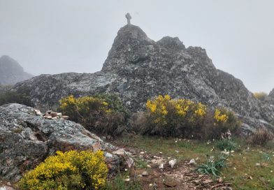 Camino San Salvador